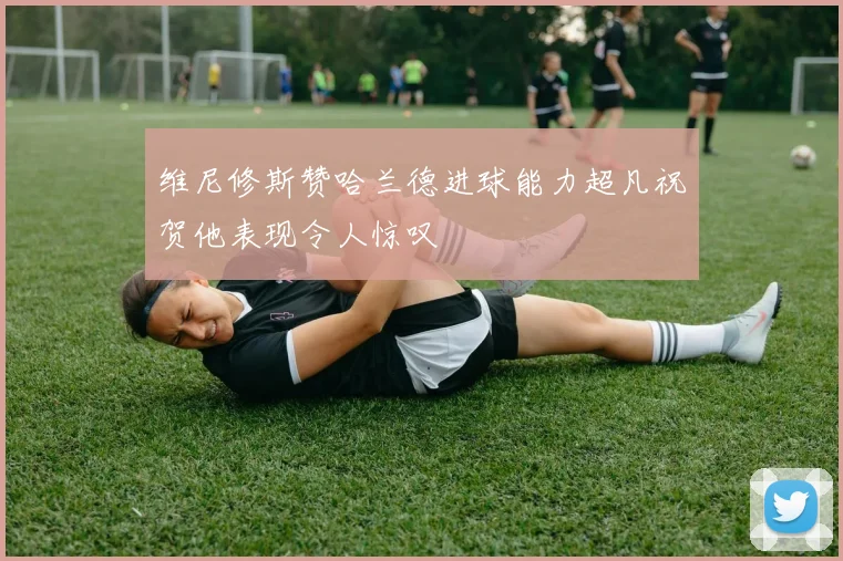 维尼修斯赞哈兰德进球能力超凡祝贺他表现令人惊叹
